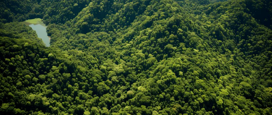 ��ʱK66��(�й���)�ٷ���վ