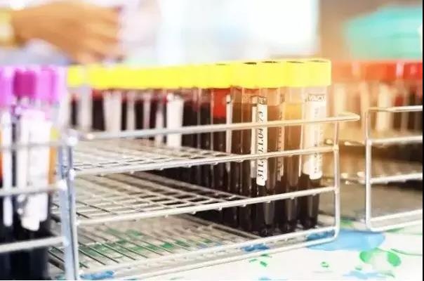 ��ʱK66��(�й���)�ٷ���վ