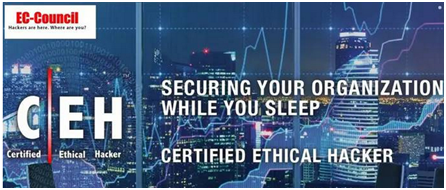 ��ʱK66��(�й���)�ٷ���վ