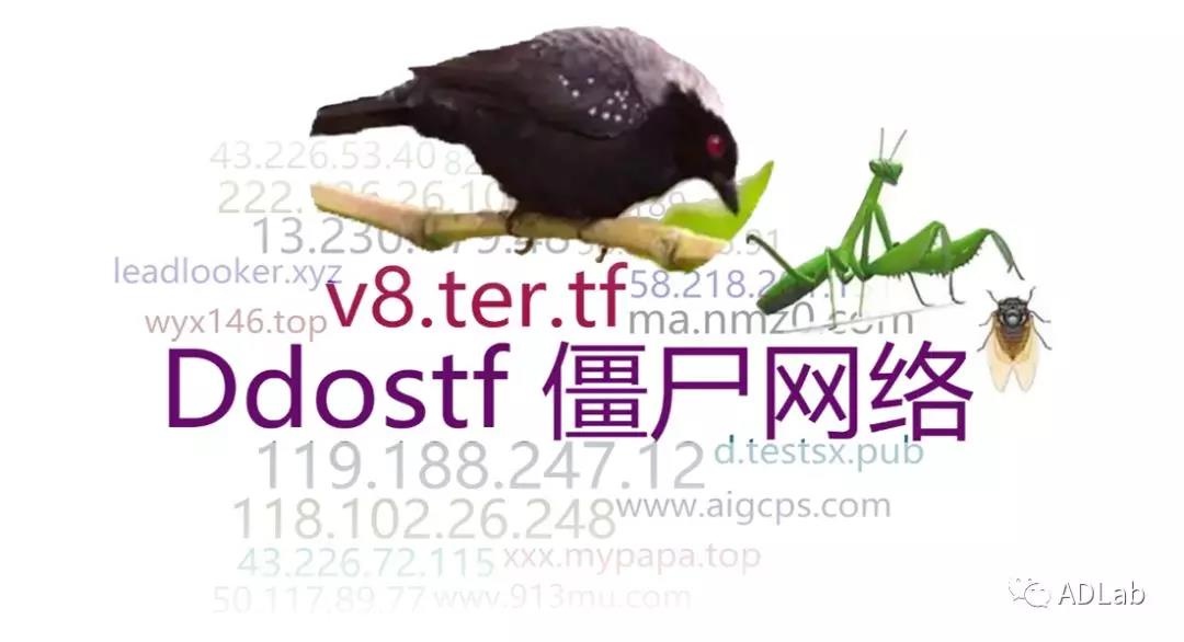 ��ʱK66��(�й���)�ٷ���վ