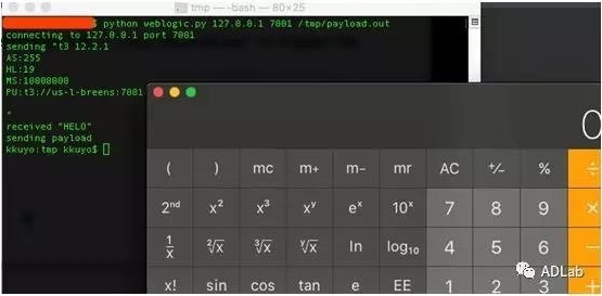 ��ʱK66��(�й���)�ٷ���վ